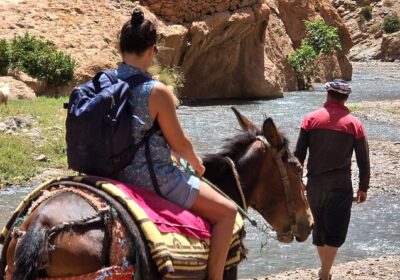 Scenic Mule Ride, Berber Villages & Mint Tea