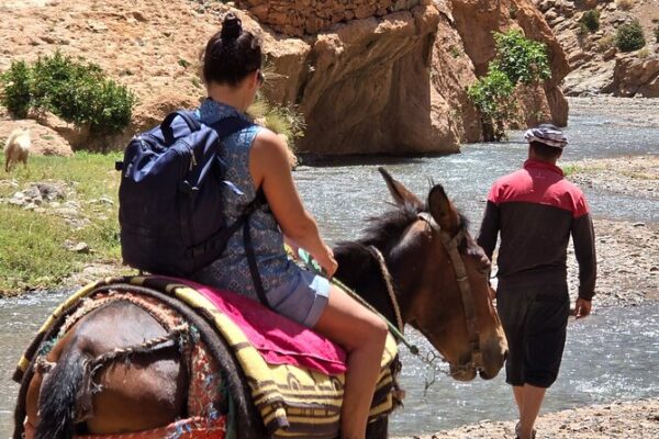 Scenic Mule Ride, Berber Villages & Mint Tea