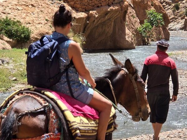 Scenic Mule Ride, Berber Villages & Mint Tea