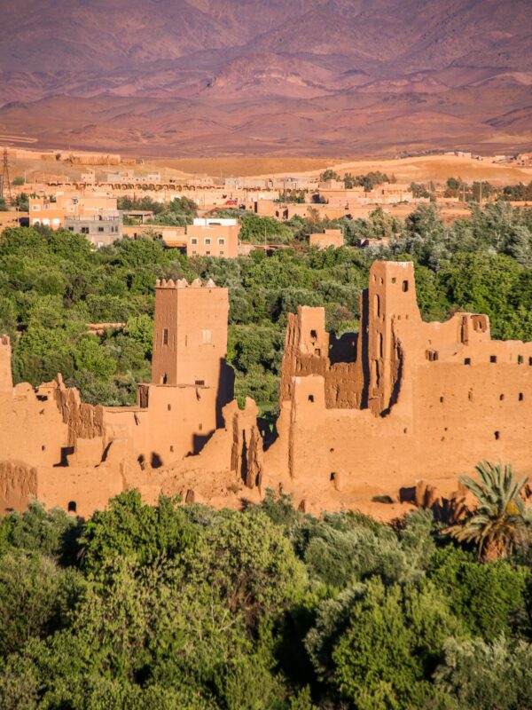 Valley of a Thousand Kasbahs Discovery Walk