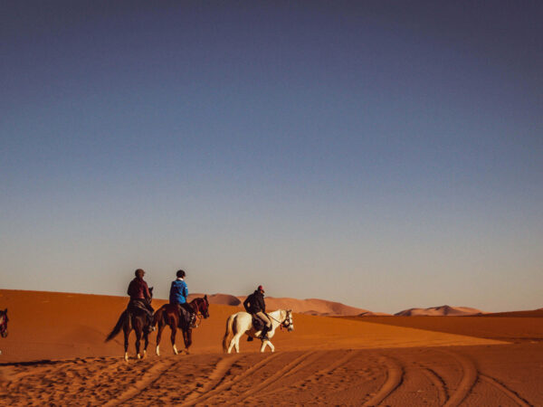 Sunset Horseback Ride & Sahara Stargazing Experience