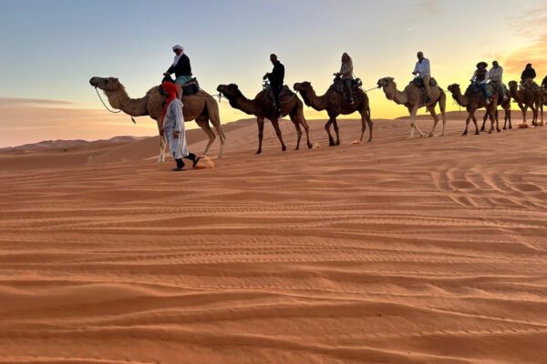 From Sea To Desert 3 Days Tour from Tangier to Marrakech via Fes