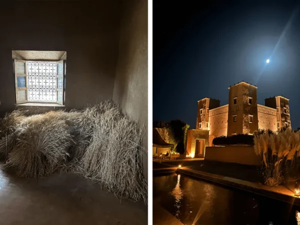 Morocco in Bloom : Rose Valley, Almond Blossoms & Hidden Berber Villages