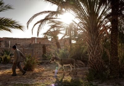 Pottery Workshop, VTT Bike Ride & Lunch at Dar Ahlam