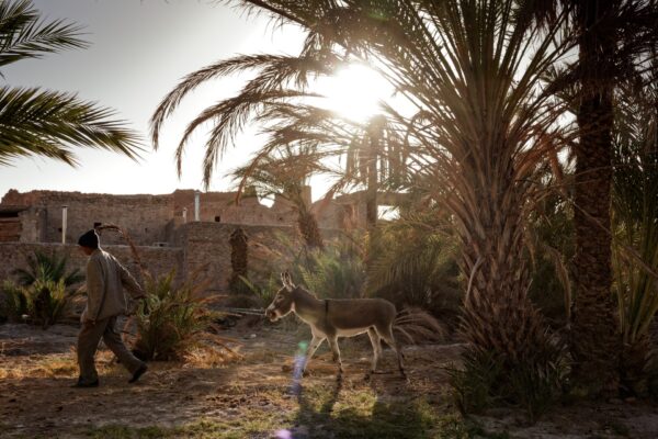 Pottery Workshop, VTT Bike Ride & Lunch at Dar Ahlam