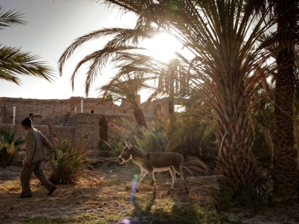 Pottery Workshop, VTT Bike Ride & Lunch at Dar Ahlam