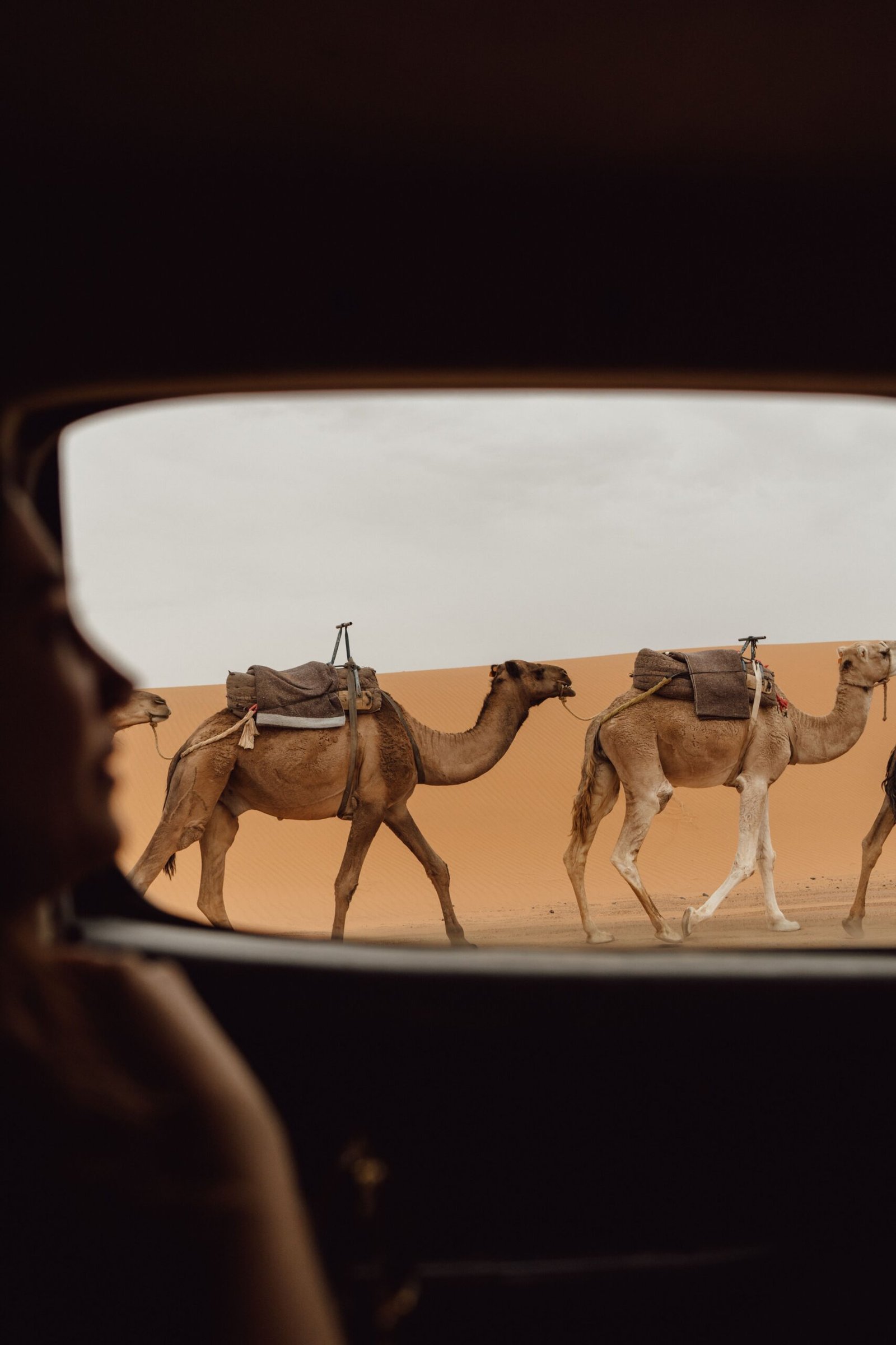 Travel experience in Morocco with Eden Expeditions
